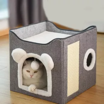 Plush Warm Cat Bed Guide: Size, Placement & Care